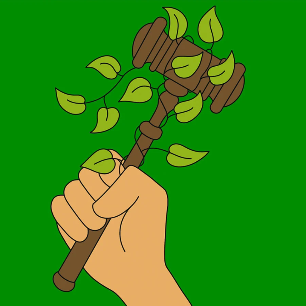 Graphic of a hand holding up a gavel wrapped in leaves