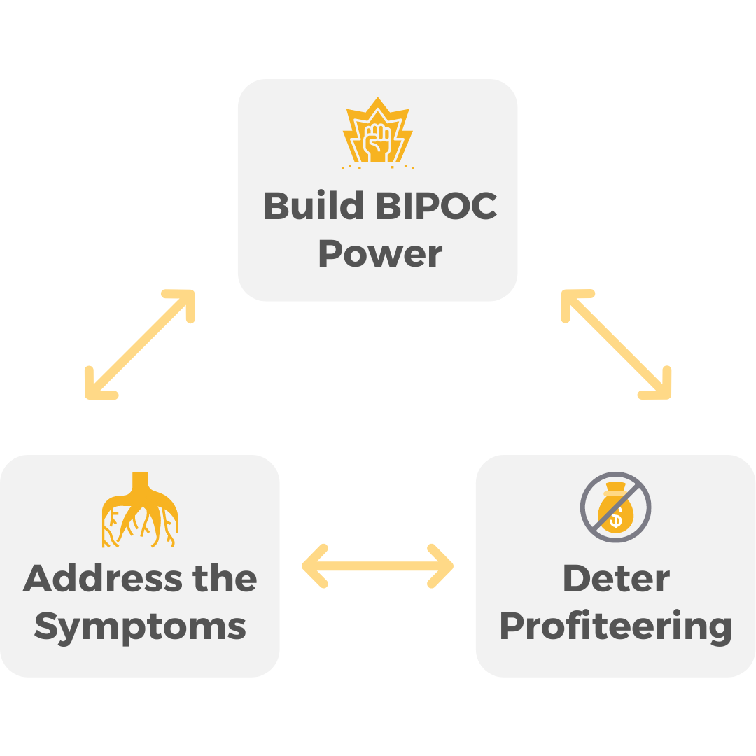 Build BIPOC Power > Deter Profiteering > Address the Symptoms